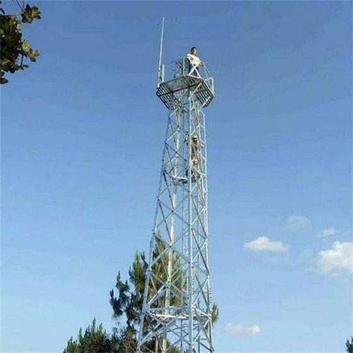 涉縣森林避雷塔廠家睿昌通信工程 登高眺望，鑄就網絡工程新高度